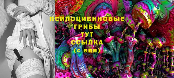 кокс Вяземский