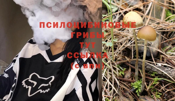 герыч Аркадак