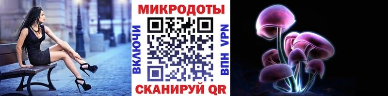Галлюциногенные грибы мухоморы  Тимашёвск 
